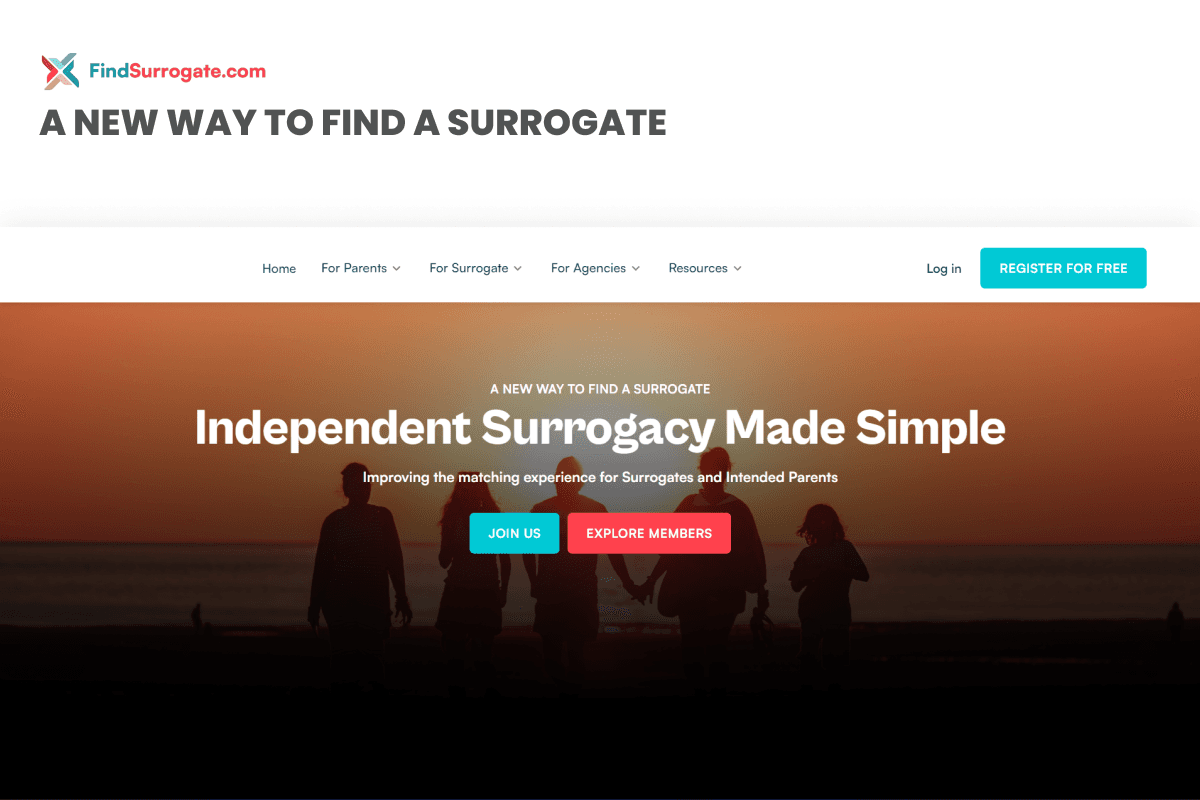 Find Surrogate screenshot 1